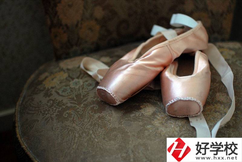 湖南省體育運(yùn)動學(xué)校有舞蹈表演專業(yè)嗎？
