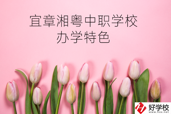 宜章湘粵中職學(xué)校在哪？有什么辦學(xué)特色？