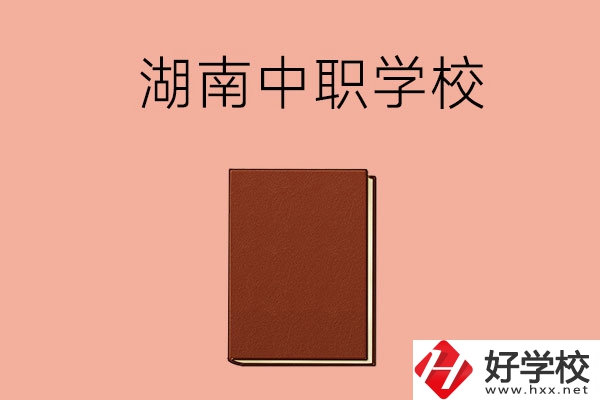 湖南有哪些就業(yè)率比較高的中職學(xué)校？