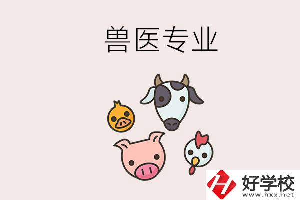 湖南哪些職校能學(xué)獸醫(yī)專業(yè)？學(xué)獸醫(yī)前景怎么樣？