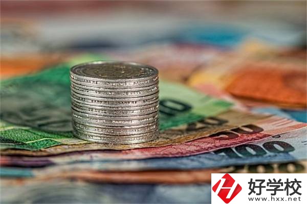 湖南職校會計電算化專業(yè)怎么樣？就業(yè)前景好不好？
