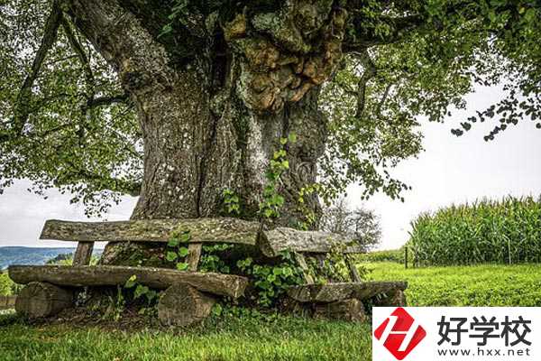 湖南特教中等專業(yè)學(xué)校有哪些特色專業(yè)？有資助政策嗎？