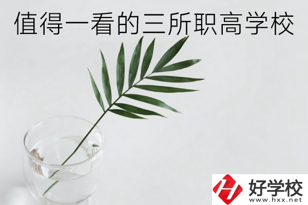 湖南有什么好的職高學(xué)校？這3所學(xué)校值得一看！
