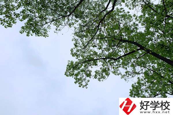 衡南縣職業(yè)中專學校的宿舍和食堂環(huán)境怎么樣？