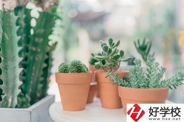 瀏陽市三聯(lián)工業(yè)學(xué)校辦學(xué)條件怎么樣？
