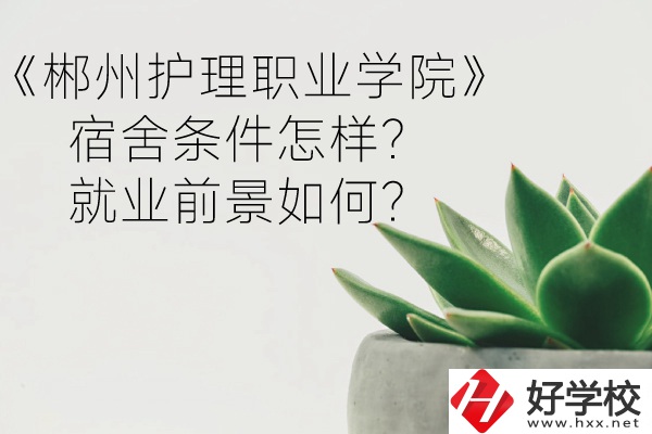 郴州護理職業(yè)學院宿舍條件怎樣？就業(yè)前景如何？