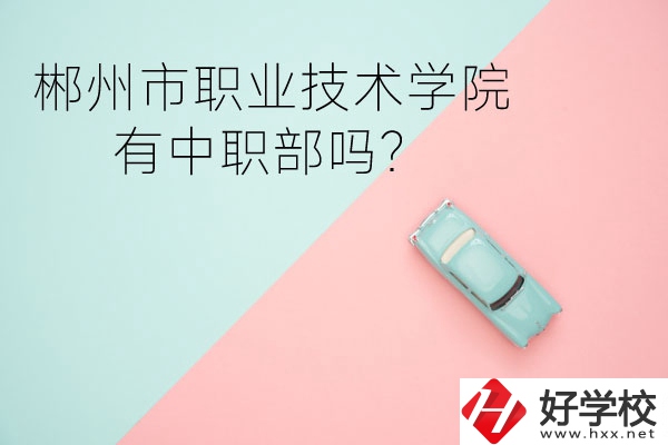 郴州市職業(yè)技術學院有中職部嗎？