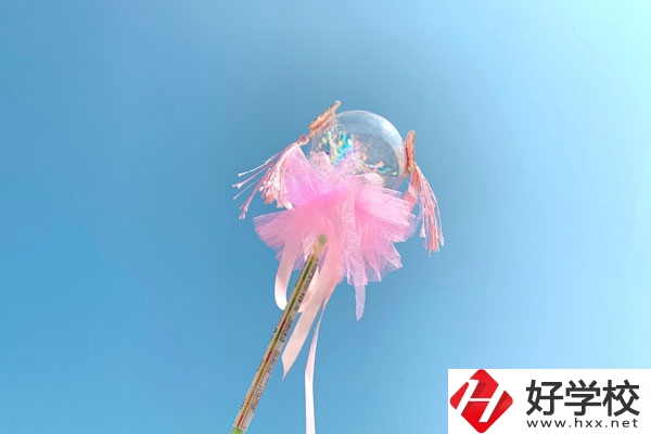 邵陽縣有什么中專學校？師資力量如何？
