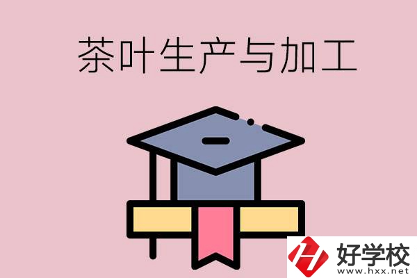 湖南哪些技校開設(shè)了茶葉生產(chǎn)與加工專業(yè)？
