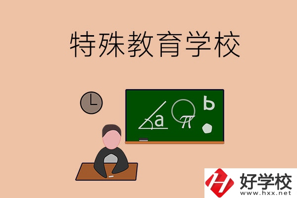 湖南省有哪些特殊教育學(xué)校？
