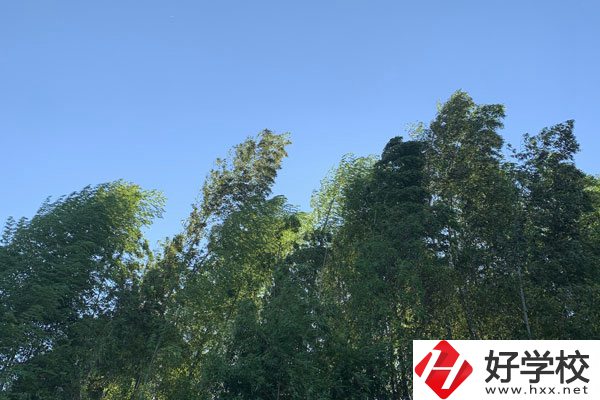 張家界協(xié)力技工學(xué)校好不好？就業(yè)前景怎么樣？