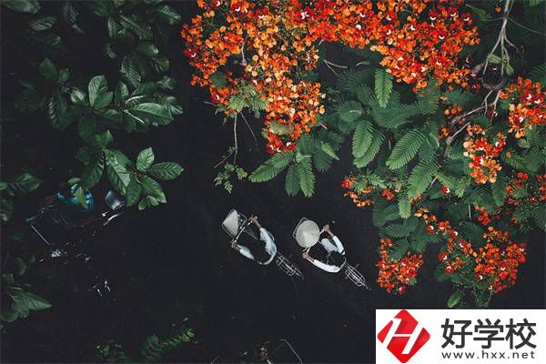 湖南分?jǐn)?shù)低選私立高中還是選職校？選職校還能統(tǒng)考嗎？
