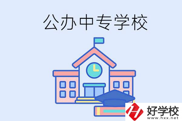 湘西一共有多少所公辦的中專學(xué)校？