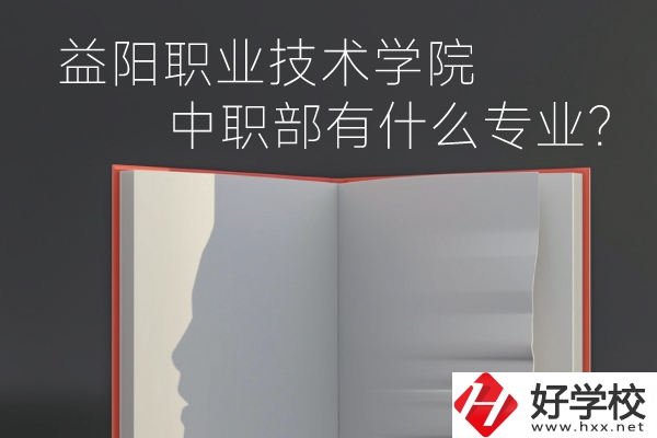 益陽職業(yè)技術學院中職部有什么專業(yè)？