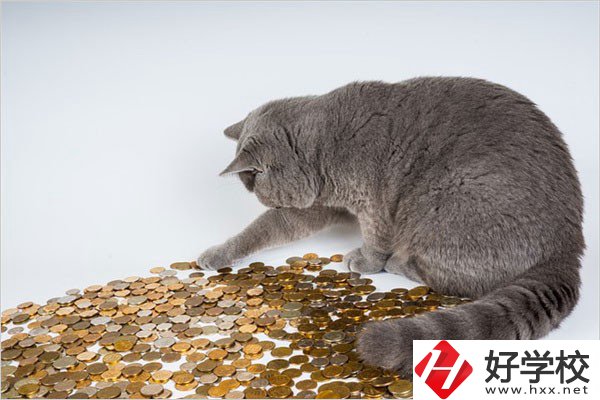 邵陽的職高一年學費是多少？比較便宜的學校有哪些？