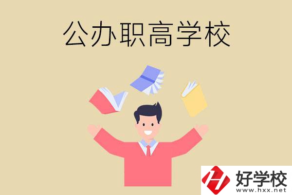 婁底公辦的職高學(xué)校有幾所？