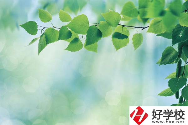 永州工商職業(yè)中等專業(yè)學校哪些是特色專業(yè)？好就業(yè)嗎？