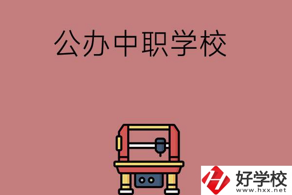 長沙可以學(xué)計(jì)算機(jī)應(yīng)用專業(yè)的公辦中職學(xué)校有哪些？
