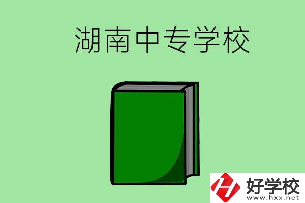 湖南的中專學(xué)校有哪些？都開設(shè)了哪些專業(yè)？
