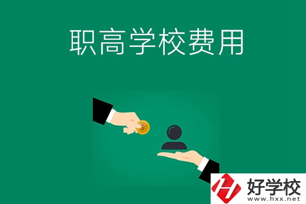 上懷化的公立職高學(xué)校要多少費(fèi)用？