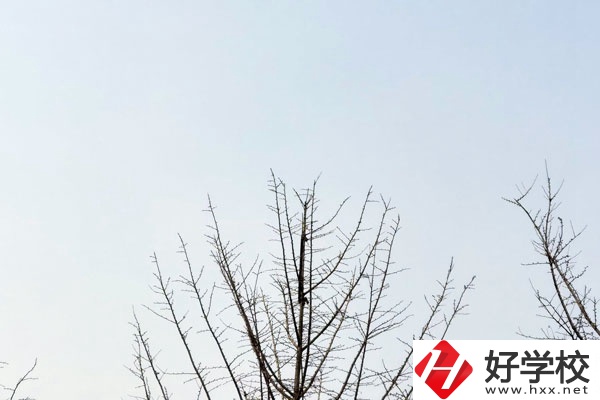 益陽第一職業(yè)中專學(xué)校怎么樣？值得報考嗎?