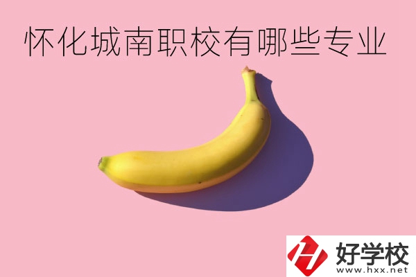 懷化城南職業(yè)學(xué)校有哪些專業(yè)？學(xué)校好不好？