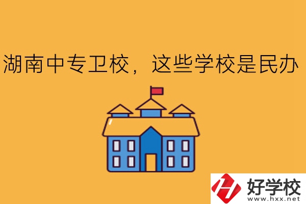 湖南中專衛(wèi)校，這些學校是民辦!