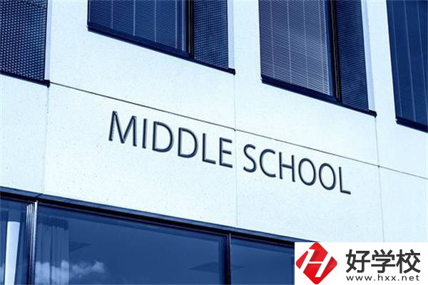 在湖南考不上高中又想繼續(xù)讀書怎么辦？有學(xué)校推薦嗎？