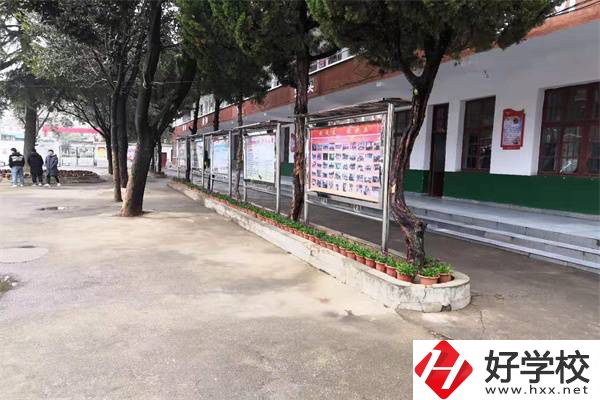岳陽有沒有升學率高的民辦職高？職高能升學是真的嗎？