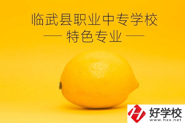 臨武縣職業(yè)中專學(xué)校好嗎？有哪些特色專業(yè)？