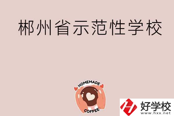 郴州有省示范性的公辦中職學(xué)校嗎？