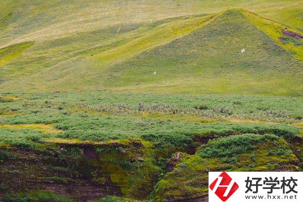 湖南衡南職業(yè)中等專業(yè)學(xué)校好嗎？學(xué)校有什么優(yōu)勢？