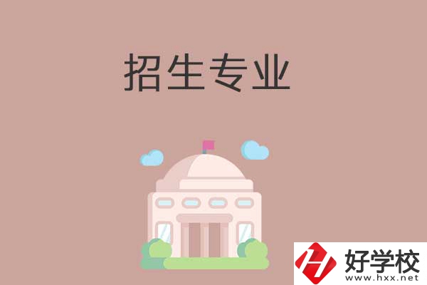 益陽有哪些高職院校設(shè)立了中職部？招生專業(yè)有哪些？