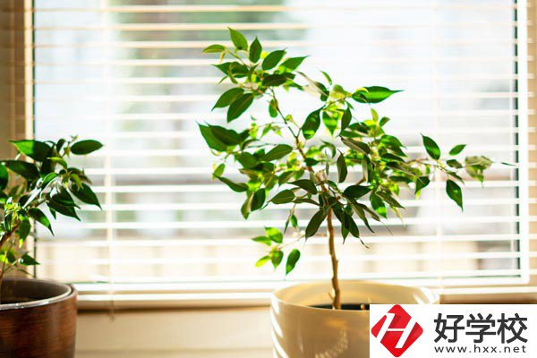 湖南省商業(yè)技師學(xué)院有哪些教學(xué)特色？報(bào)考有何要求？
