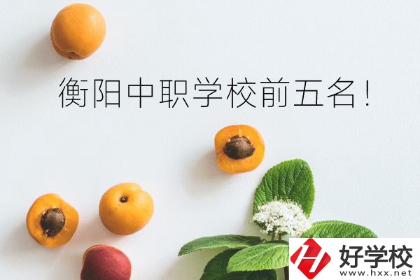 衡陽(yáng)中職學(xué)校前五名！你選對(duì)了嗎？