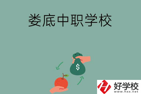 婁底市有哪些中職學(xué)校？排名前五的是哪幾所？