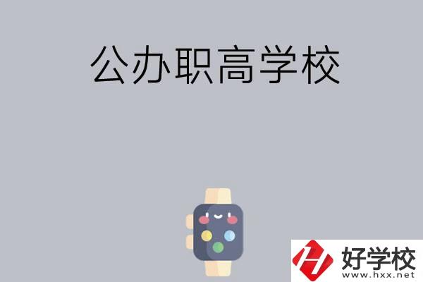 長(zhǎng)沙哪些公辦職高學(xué)校比較有特色？