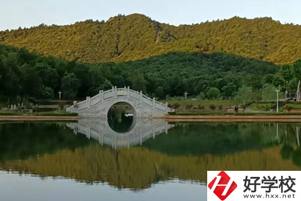 想在新寧縣讀中專學(xué)校？推薦這兩所