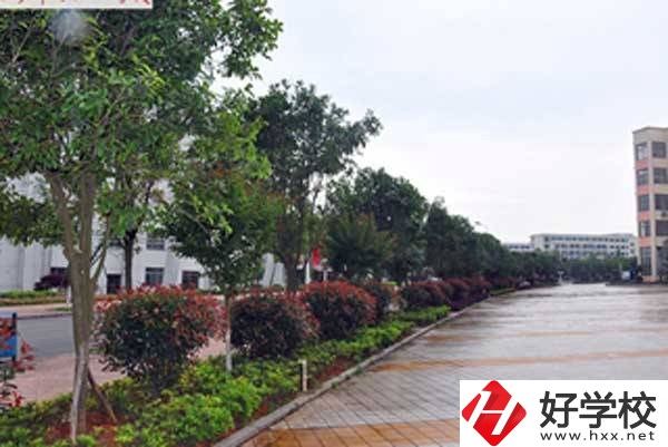 長沙市電子工業(yè)學(xué)校開設(shè)了哪些專業(yè)，附招生要求？