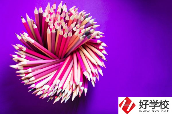 在懷化有什么職?？梢詫W(xué)習(xí)幼師？好不好？