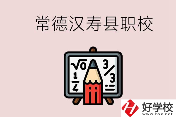 常德的漢壽縣有什么職校？是公辦的嗎？