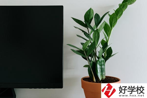 岳陽市網(wǎng)絡(luò)工程職業(yè)技術(shù)學(xué)校有哪些熱門專業(yè)？