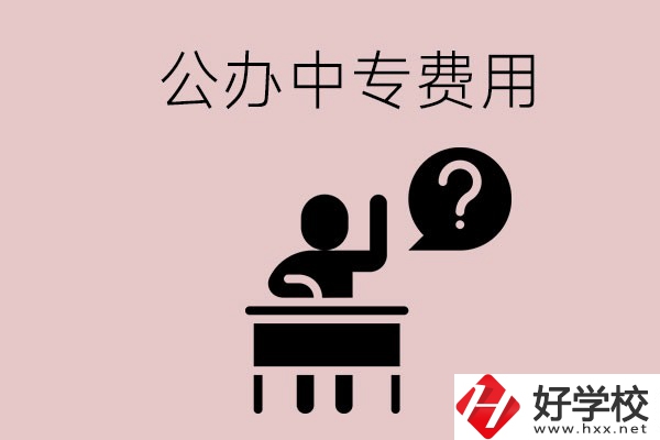 長(zhǎng)沙中專哪所學(xué)校費(fèi)用少一點(diǎn)？首選這兩所公辦學(xué)校！