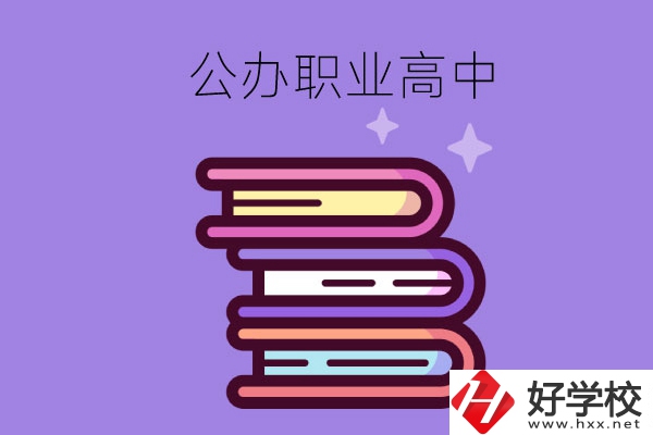 長沙市有哪些公辦職業(yè)高中學校？