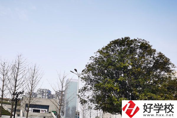 益陽科技工程學校有哪些專業(yè)？就業(yè)如何？