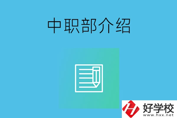 湘潭院校中職部介紹，這幾所學(xué)校你知道嗎？