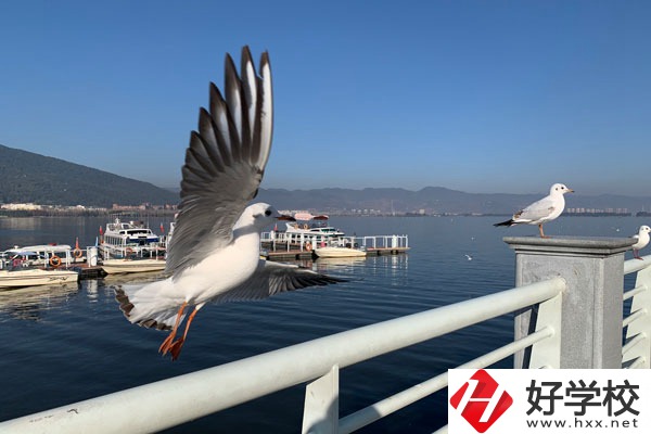 準(zhǔn)備讀中專，衡陽縣職業(yè)中專好不好？