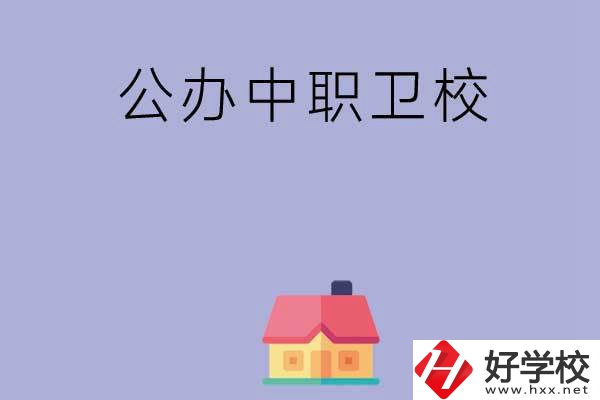 湖南公辦中職衛(wèi)校有哪些？這2所值得關(guān)注！