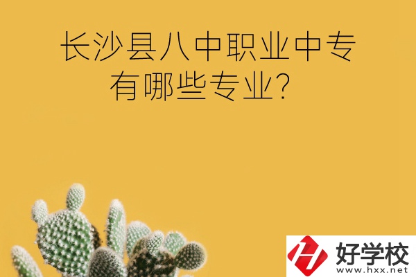 長沙縣八中職業(yè)中專好不好？有哪些專業(yè)？