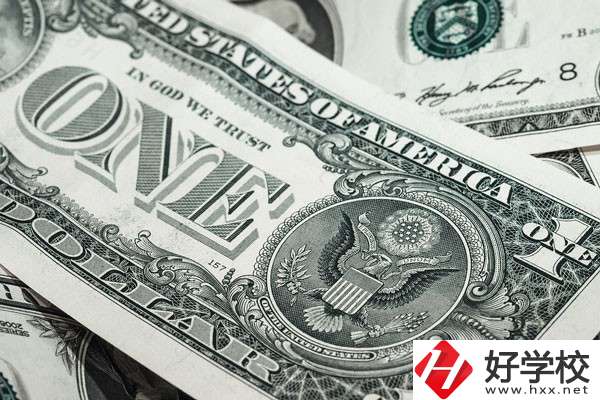 湖南的技校學(xué)費貴嗎？有哪些補貼政策？
